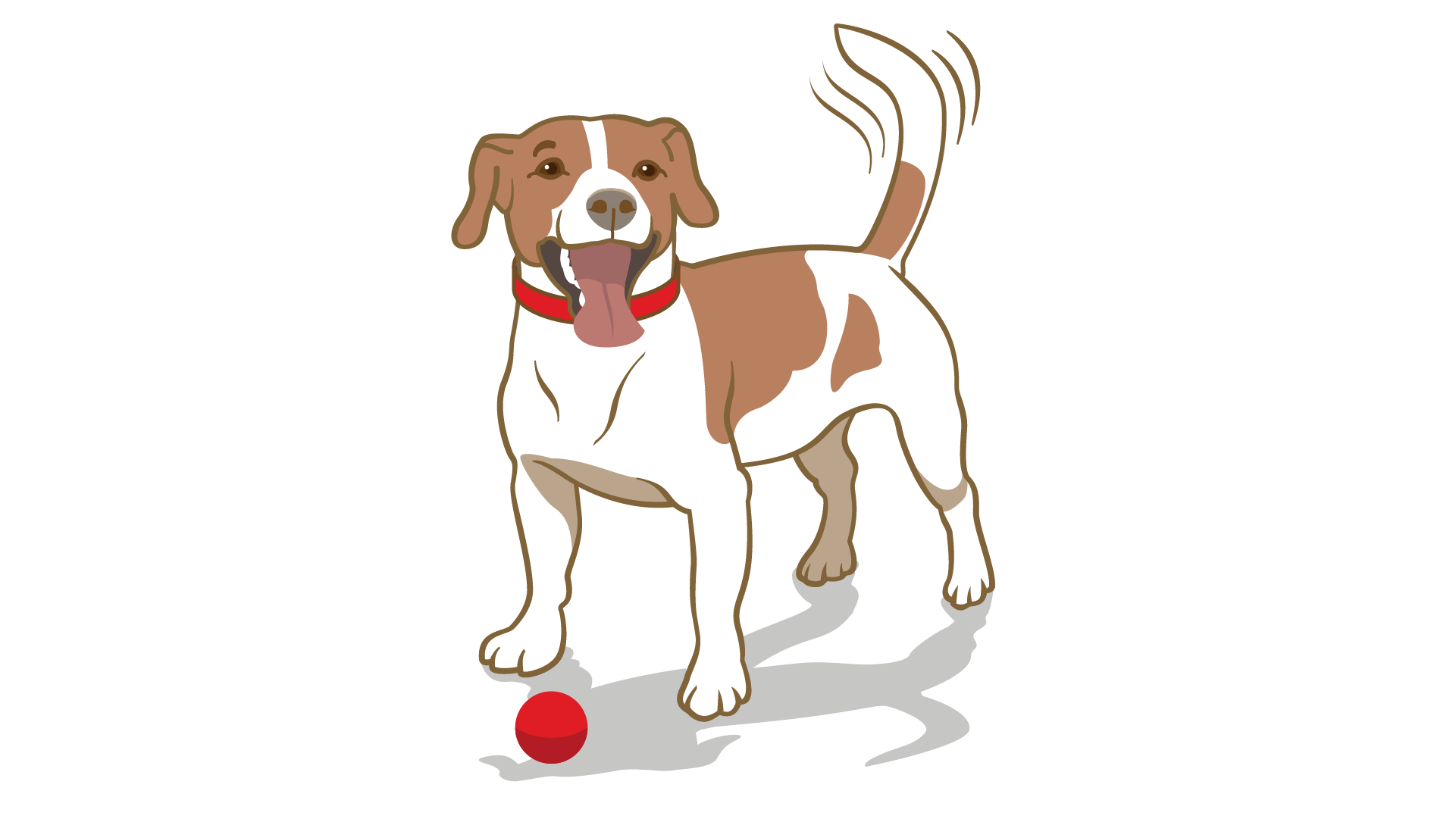 Understanding Dog Body Language Purina